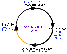 Някои стресови цикли са по-лесни за преминаване от други.