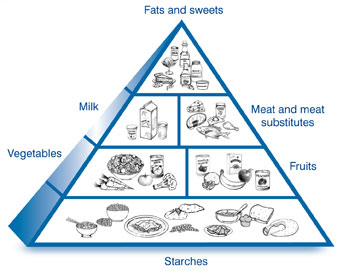 Хранителна пирамида