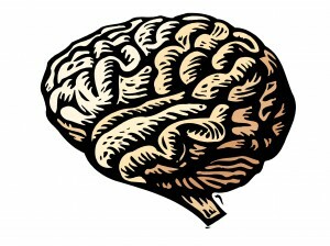 Травмата засяга мозъка ви, но лечението на ПТСР е по-вероятно от всякога. Научете как травмата засяга мозъка и как невропластичността ви помага да се възстановите. Прочети това.