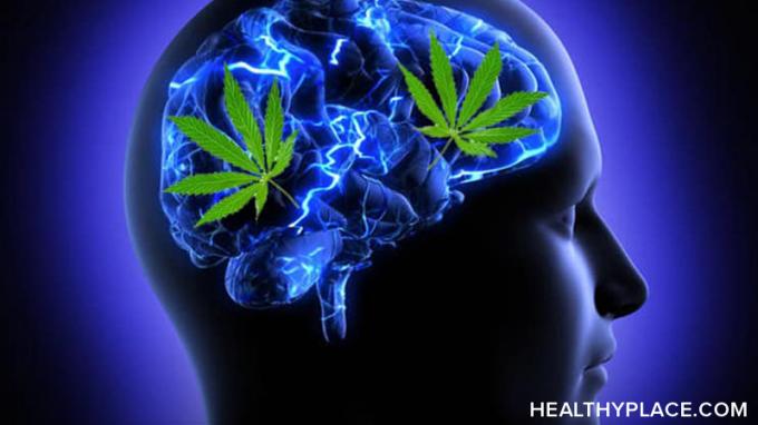 Употребата на марихуана може да доведе до психоза и психотични разстройства като шизофрения при някои хора. Разберете как и кой е изложен на риск на HealthyPlace.